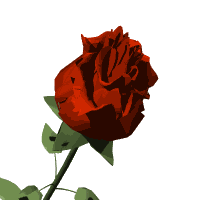 Beauty's Rose is deep, blood-red
Tender blooms to wreathe her head
Garnet gems where e'er she treads
Cabernet kisses at dawn...

Beauty's Rose
Lyrics copyright Amanda W. Crews